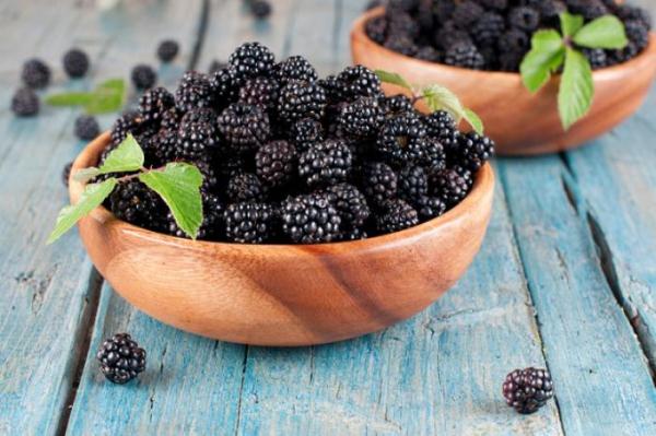  The use of blackberry in cooking