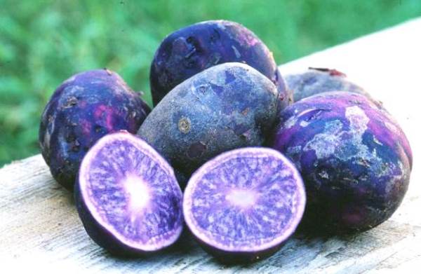  Purple potatoes