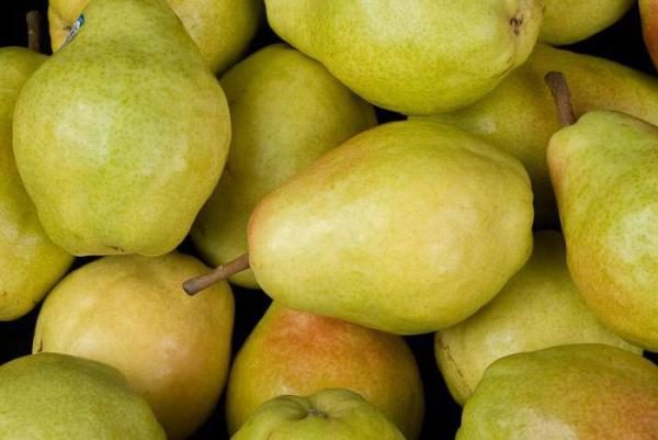  Variety of Veles Pears